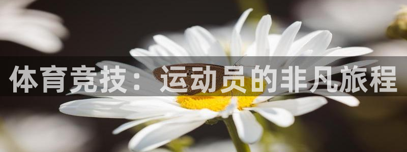 JJB竞技宝官网下载平台是正规平台吗安全吗:体育竞技:运动员