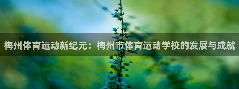 JJB竞技宝官网下载招商电话是多少啊:梅州体育运动新纪元:梅