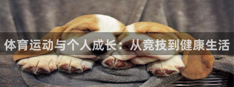 JJB竞技宝官网下载招商电话地址查询:体育运动与个人成长:从